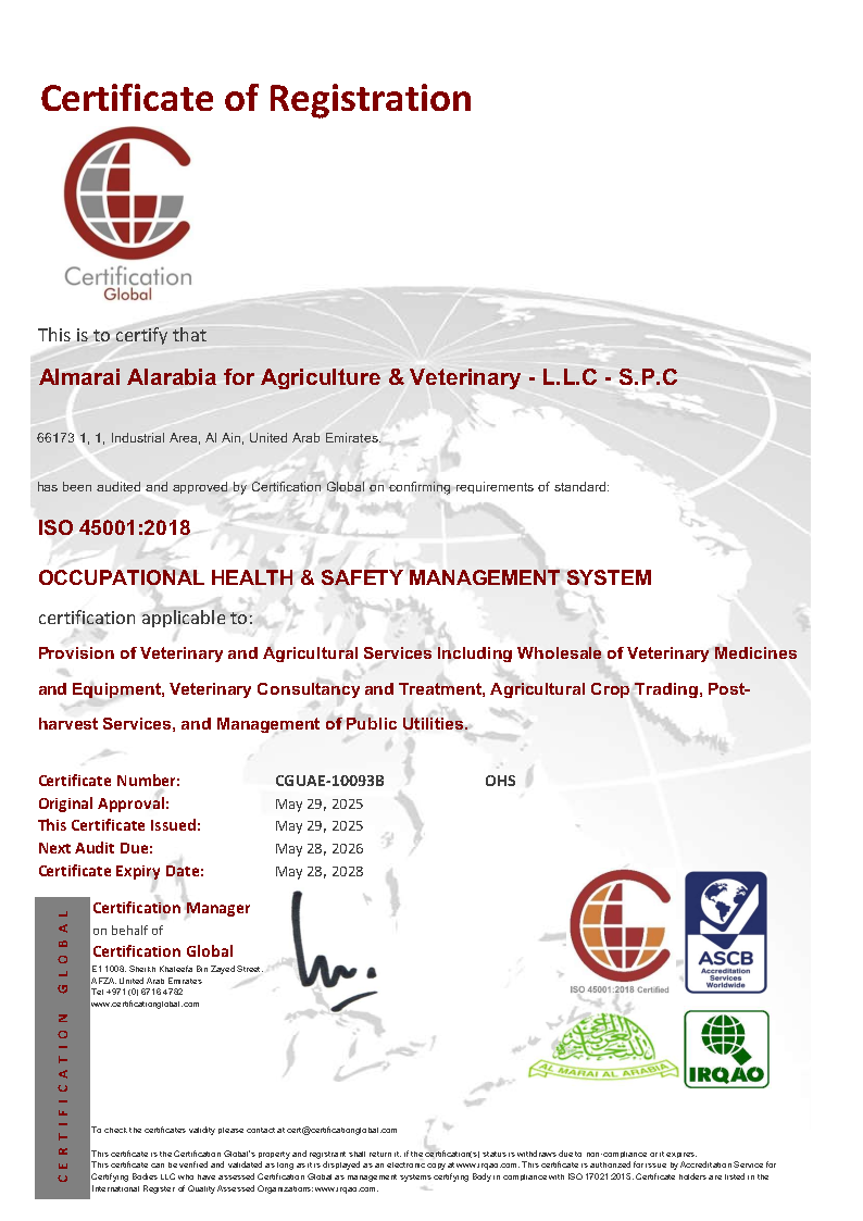 ISO 45001